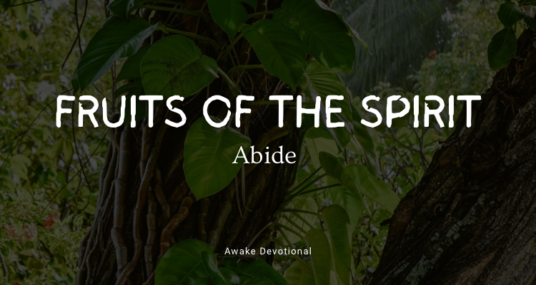 FRUIT OF THE SPIRIT: Abide